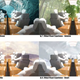 Since you won’t be able to look out the windows, here are some in-tube entertainment options, by Suprastudio/UCLA